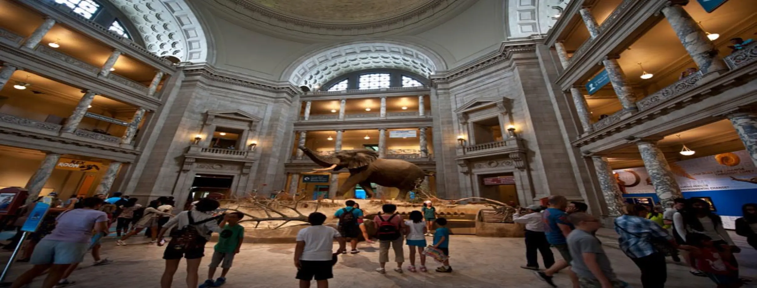 Image for Visit the National Museum